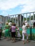 Kharkiv zoo 5.JPG - 